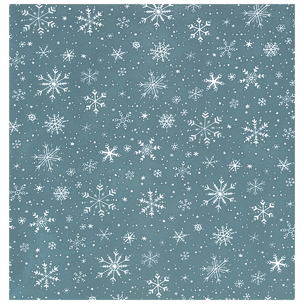 Petterned Paper:PA-0642 Snowflake Sky[특가판매]