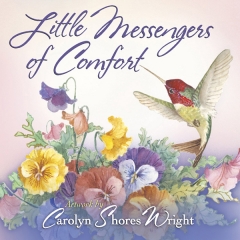 [특가판매]Little Messengers of Comfort by Carolyn Shores Wright