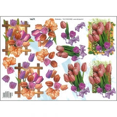Floral/Butterflies-572673
