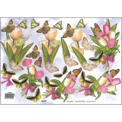 Floral/Butterflies-572628