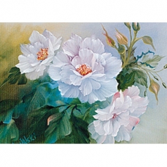 [특가판매]Bob Ross Floral Packets-RKP005-English Shrub Roses