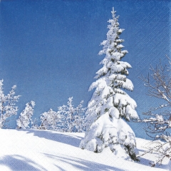 611316-White Winter Tree 넵킨페이퍼(20매)