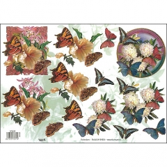 Floral/Butterflies-572611