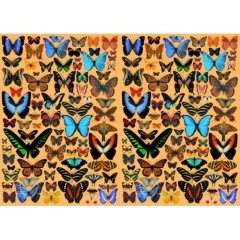 RL513A Small Butterflies(50*70cm) - 094