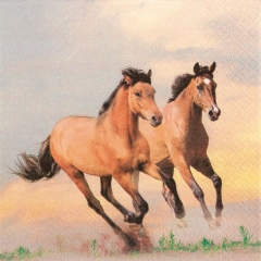 211511-Wild Horses 넵킨페이퍼(20매)