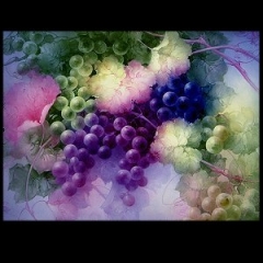 특가판매ST02-Purple, Blue and Green Grapes