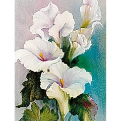 [특가판매]Bob Ross Floral Packets-RKP024-Calla Lilies