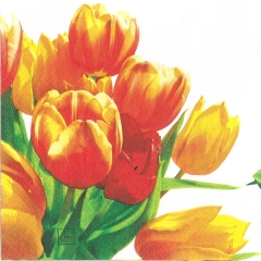 211116 - Bunch of Tulips 넵킨페이퍼(20매)