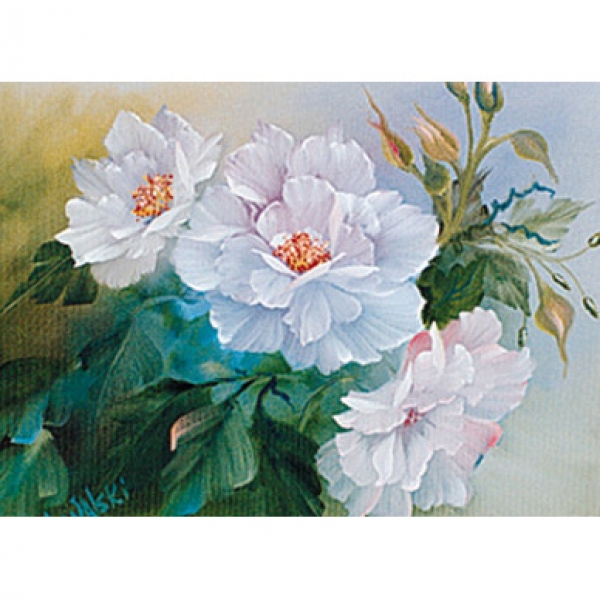 [특가판매]Bob Ross Floral Packets-RKP005-English Shrub Roses